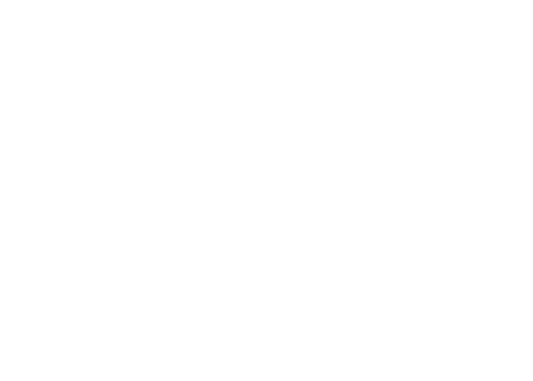 Logo-blanco---nestor-florez